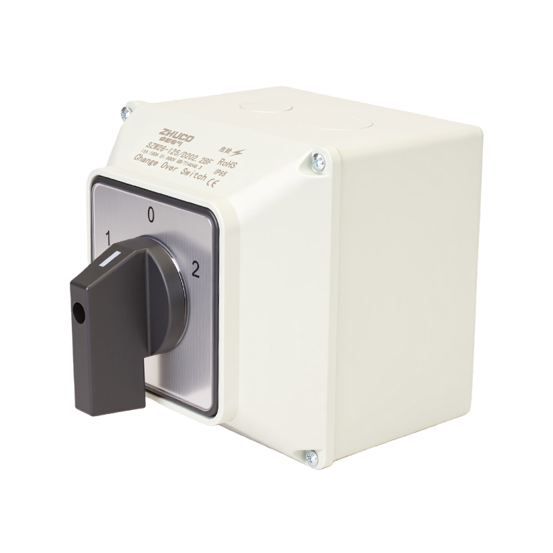 Interruptor de transferencia de protección IP65 de alta corriente ZHUCO SZW26-125/D202.2BF