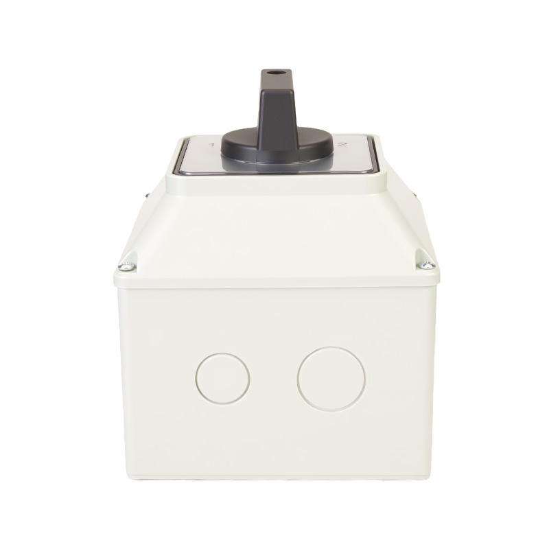 Interruptor de transferencia de protección IP65 de alta corriente ZHUCO SZW26-125/D202.2BF